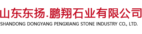 山東東揚.正能量奖励网站入口石業有限公司